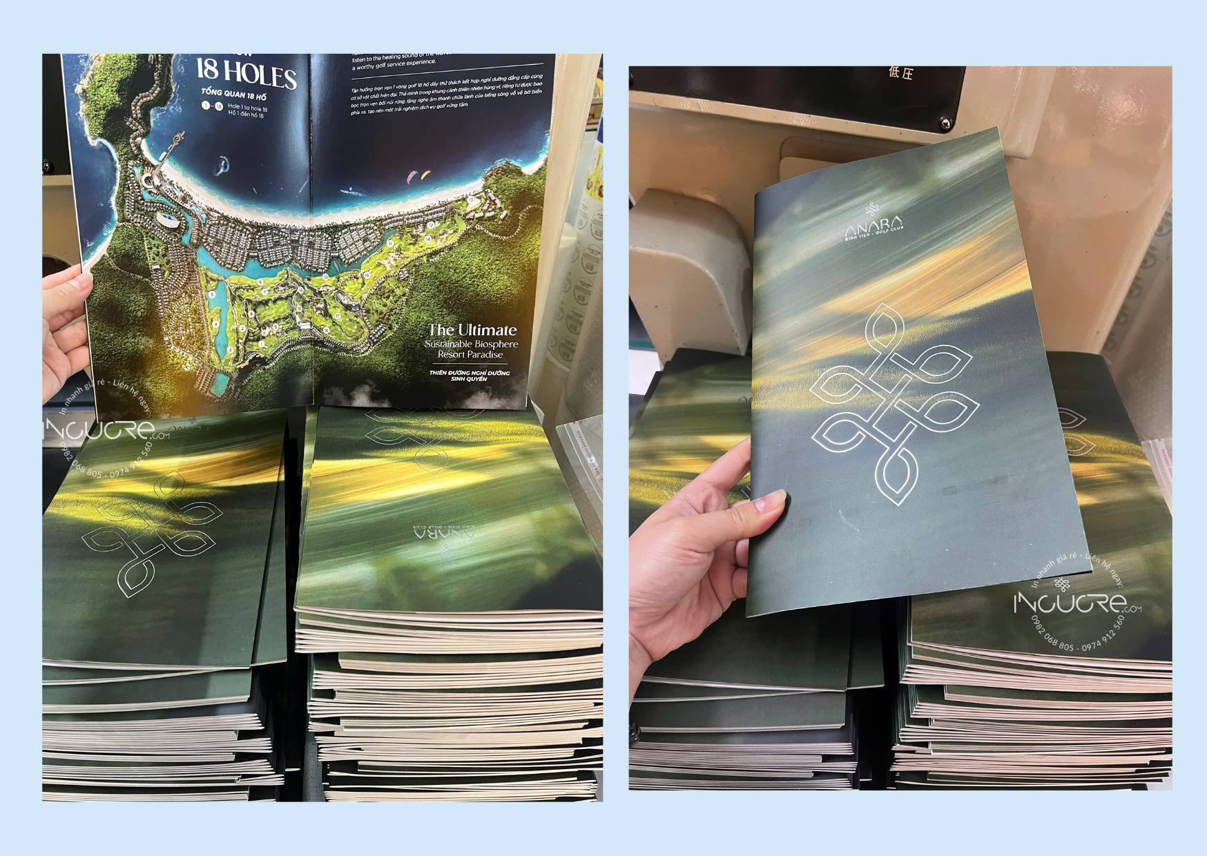 in catalogue giá rẻ